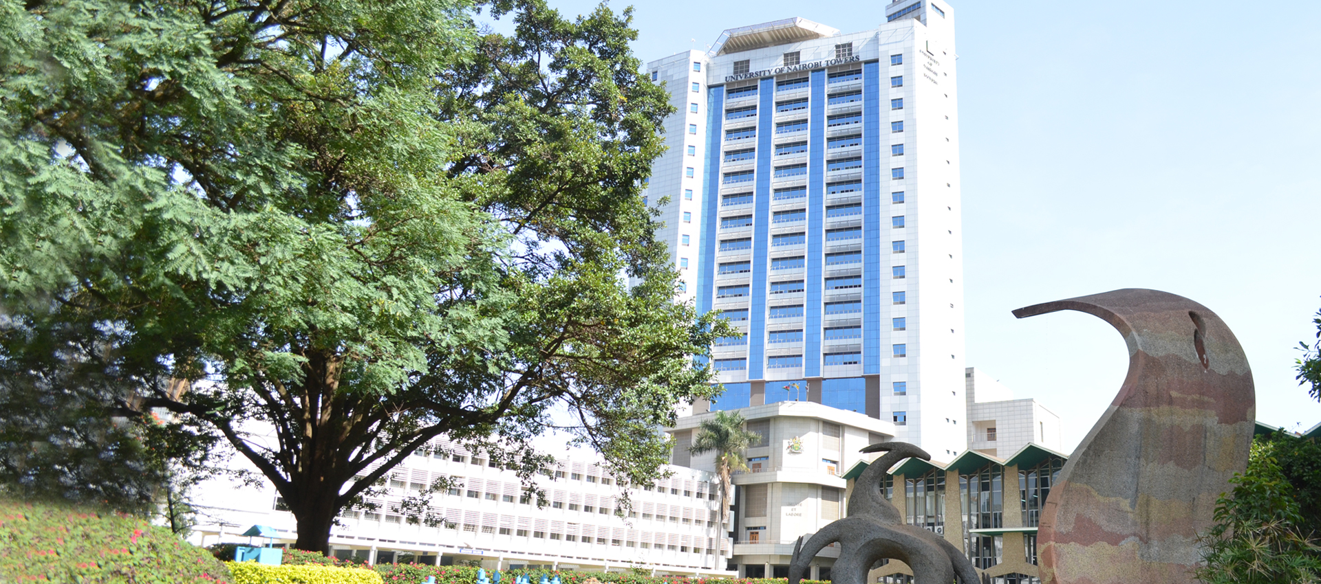 IDS | University of Nairobi Overview