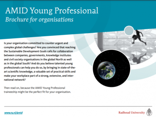 AMID Young Professional brochure