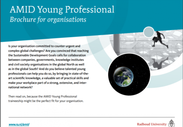 AMID Young Professional brochure